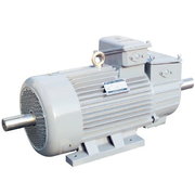 Электродвигатель МТКН-611-10