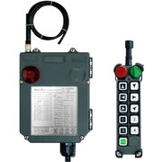 Радиоуправление TeleControl EF24-10D (10 кнопок, 2 скорости)