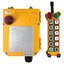 TeleControl F24-12D